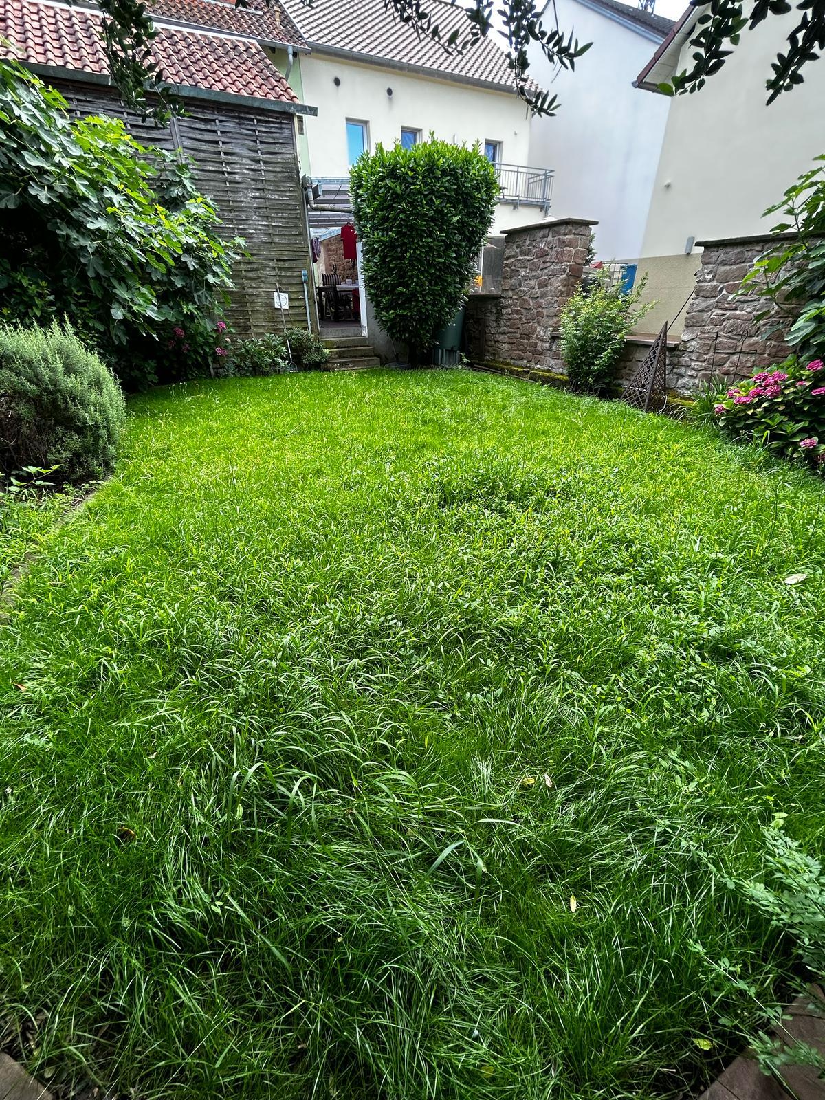 Gartenpflege nachher